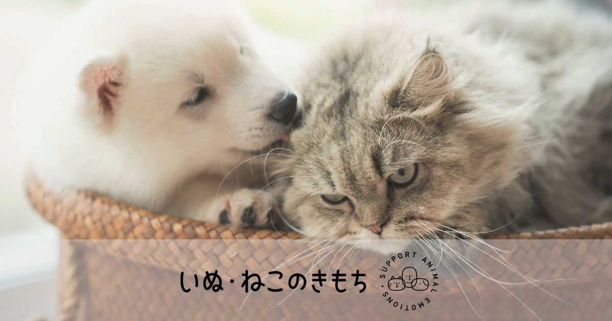 いぬ・ねこのきもち by meet my goods